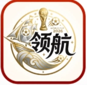 领航国际